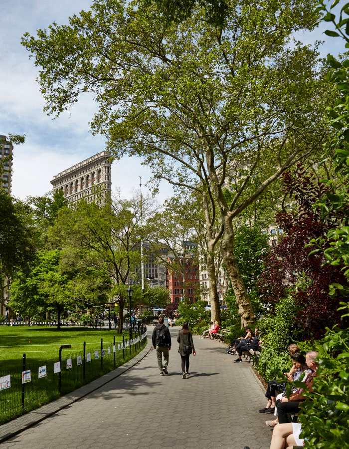 Two people walking down pathway at Madison Square Park